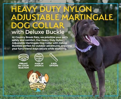 Martingale Dog Collar - Heavy Duty Nylon Adjustable Martingale Dog Collar with Plastic Buckle for Small Medium Large Breeds - 30+ Colors (1 Inch, Extra Large, Red)