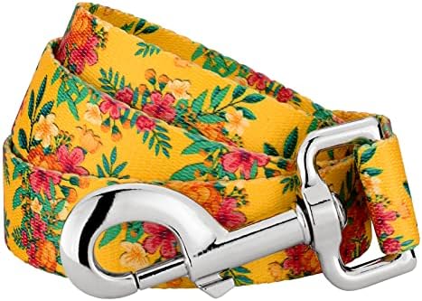 Country Brook Petz - Tropical Floral Everyday Dog Leash - Summer Breeze Collection Featuring Sunny Designs (4 Foot, 5/8 Inch Wide)