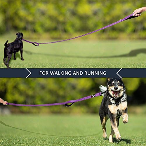 Plutus Pet Double Handle Dog Leash, 5 FT Long, for Medium Large Dogs