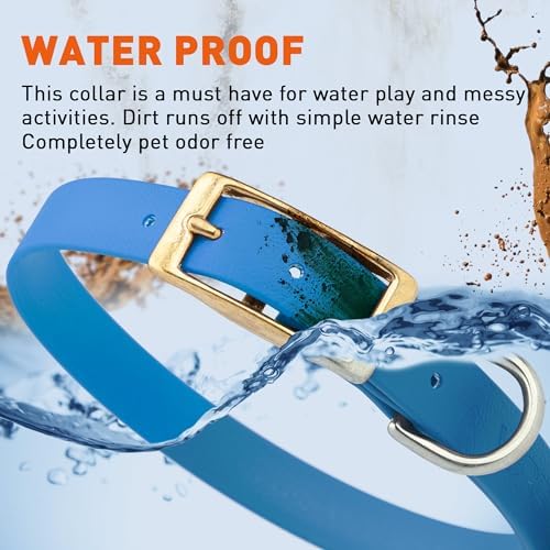 Viper Biothane Heavy Duty Waterproof Dog Collar Strong Coated Nylon Webbing w/Solid Brass Hardware Odor-Proof Easy to Clean High Performance Fits Small Medium or Large Dogs, Cerulean Blue