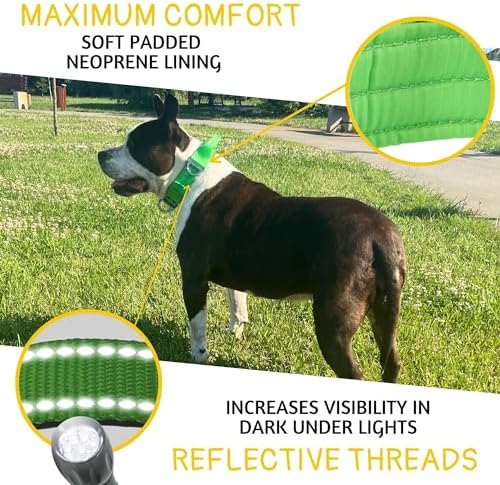 ADITYNA Heavy Duty Dog Collar for Extra-Large Dogs with Traffic Handle