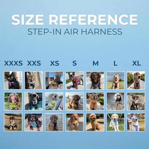 Voyager Step-in Air Dog Vest Harness - Blue/Black Trim, X-Large
