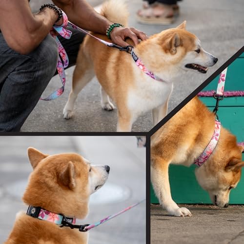 DigiFloral Dog Collar S
