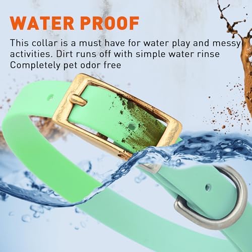 Viper Biothane Heavy Duty Waterproof Dog Collar Strong Coated Nylon Webbing w/Solid Brass Hardware Odor-Proof Easy to Clean High Performance Fits Small Medium or Large Dogs, Sea Foam Green