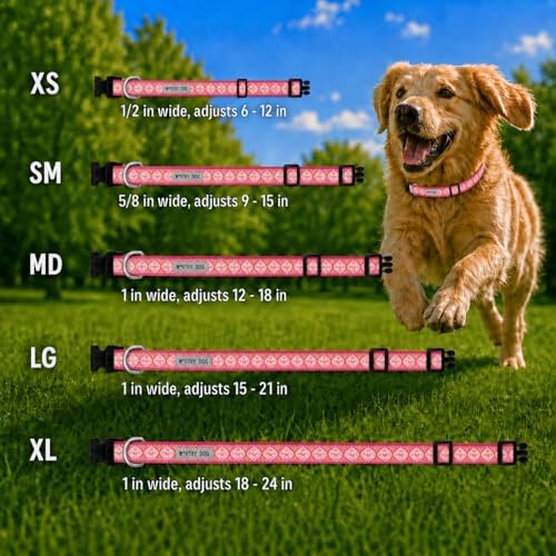 THE WORTHY DOG Summer Print, Adjustable Dog Collar, Large Dogs, Medallion