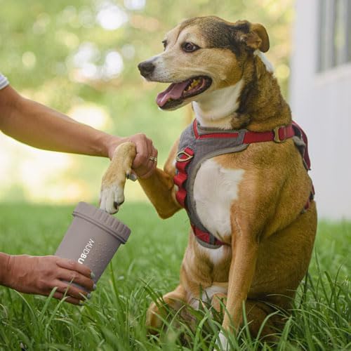 Dexas MudBuster Medium Dog Paw Cleaner, Taupe, Fits 1.5"-2.5" Wide Paws, Gentle Silicone Bristles for Quick, Easy Cleaning