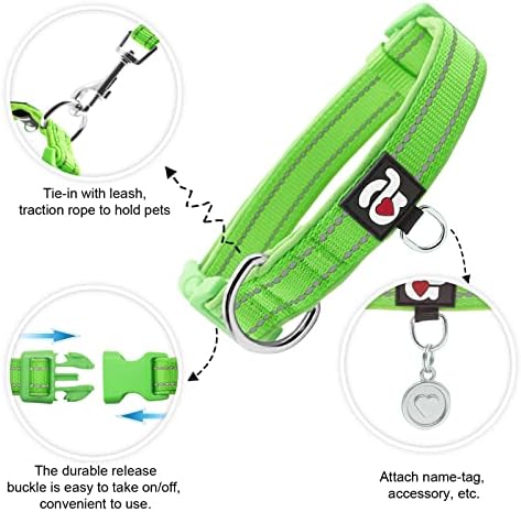 azuza Reflective Dog Collar, Neoprene Padded Puppy Collar, Green, XS