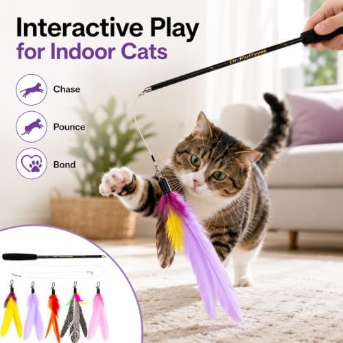 Cat Wand Toy with 5 Feather Attachments – Interactive Cat Teaser Wand & Cat Fishing Pole Toy for Indoor Cats, Feather Cat Toy for Exercise, Chase & Play, Fun Kitten Toys for Bored Cats