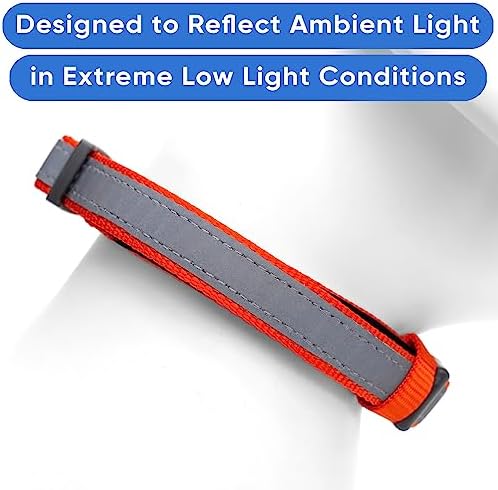 Pawtitas Personalized Reflective Padded Dog Collar with Name Phone Number - Adjustable Customized Orange Medium Dog Collar
