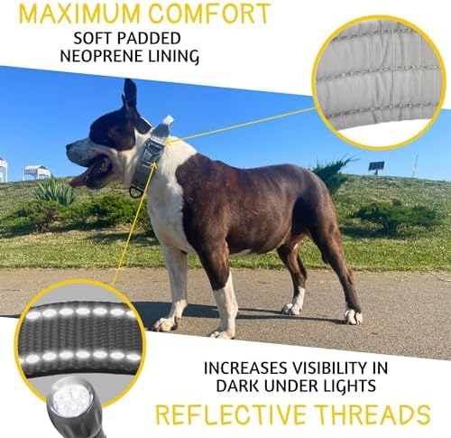 ADITYNA Heavy Duty Dog Collar for Extra-Large Dogs with Traffic Handle