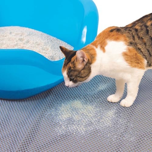 Pioneer Pet Reversible Litter Mat, 36" x 24"