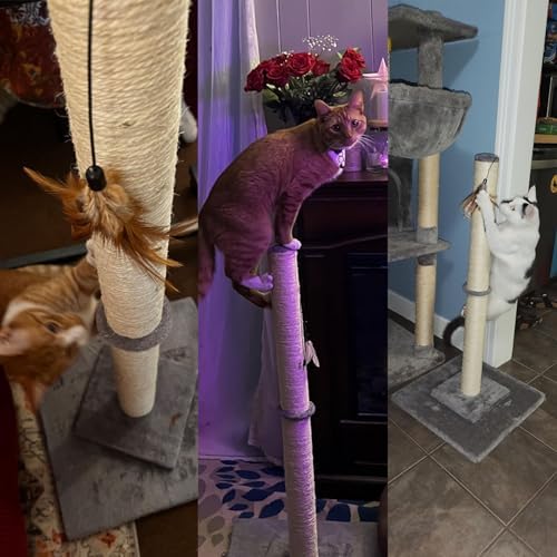 HUTPET 34" Tall Cat Scratching Post Double Base and Reinforcement Design Anti tilt,Sisal Scratch Posts Trees with Feather Toys for Indoor Cats(Gray)