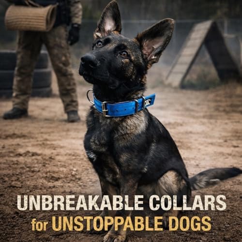 SparkDog 1.5” Working Dog Collar Heavy Duty Fits 13-19” Necks (Blue, 1.5")