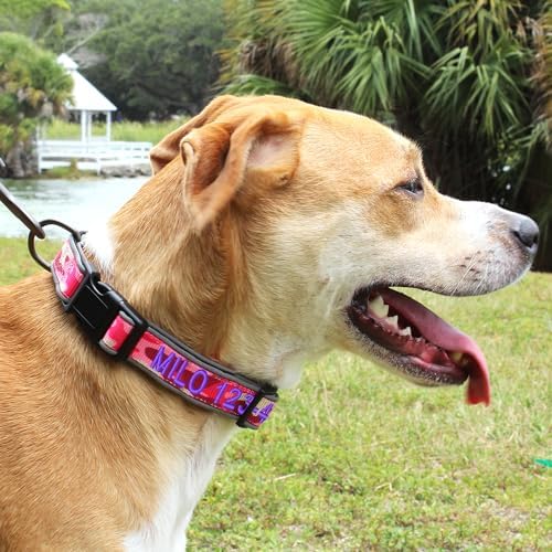 Pawtitas Personalized Dog Collar Reflective Dog Collar Padded Dog Collar with Name Phone Number Puppy Collar Adjustable Customized Collar for Medium Dogs Breeds | Pink Camo Custom Medium Dog