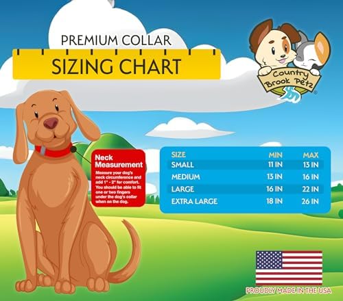 Country Brook Petz - Premium Nylon Dog Collar with Metal Buckle for Small Medium Large Breeds - 30+ Colors (Extra Large, 1 Inch, Red)