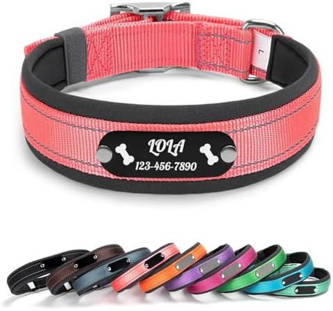 Personalized Reflective Dog Collar with Name, Pink: L