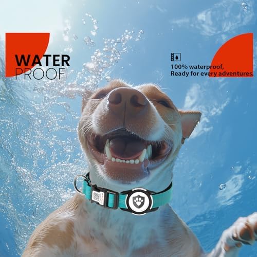 Waterproof AirTag Dog Collar with QR Code Dog Tag, Blue XS