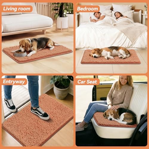 Bcoimo Super Absorbent Dog Door Mat, 36"*24" Anti Slip Mat for Muddy Paw