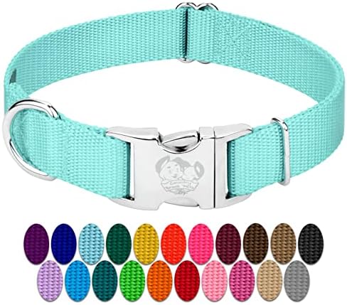 Country Brook Petz - Premium Nylon Dog Collar with Metal Buckle for Small Medium Large Breeds - 30+ Colors (Large, 1 Inch, Light Cyan)