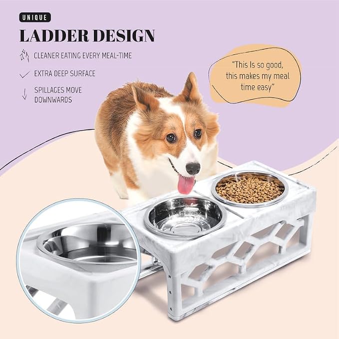 AVERYDAY Elevated Dog Bowls, 4 Height Adjustable Stand for Small and Medium Dogs, Raised Dog Feeder Holder with 2 Stainless Steel Food and Water Bowls, Anti-Slip Base Tall Feeding Station