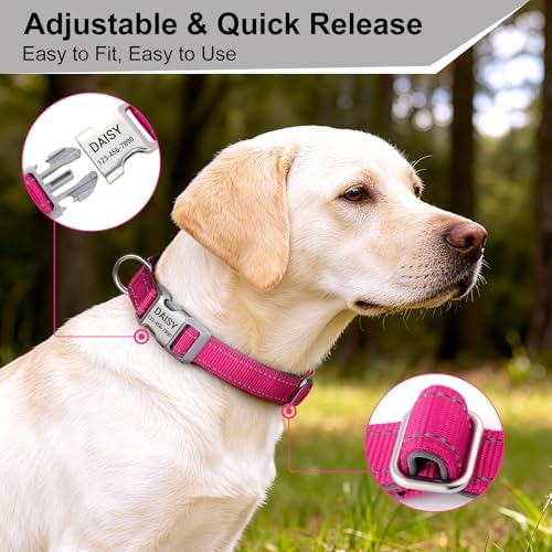 Personalized Dog Collars, Custom Laser Engraved Name & Phone Number