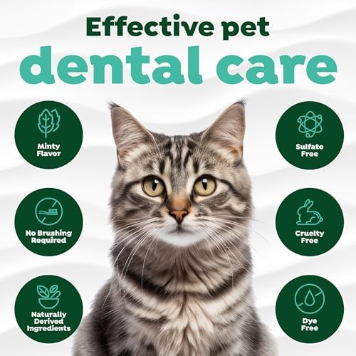 TropiClean No Brush Cat Toothpaste, Easy to Use Cat Dental Care, 2oz