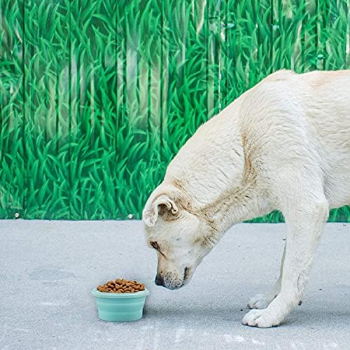 Luter 2 Pieces Collapsible Dog Bowls Silicone Food Water Travel Foldable Bowl with Lids Portable Expandable Pet Feeding Watering Cup Dish for Walking Kennels Camping 350ml (12x12x3cm) (Pink & Blue)