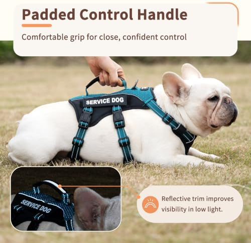 Huntboo Service Dog Vest Harness, Escape Proof Harness with 6 Patches, No-Pull, Reflective Harness with Handle, Adjustable for Small to Large Dogs, for Training and Hiking (Teal, S)