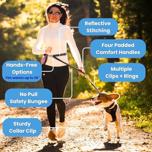 Heavy Duty Dog Leash for Large Dogs – 6FT Reflective Bungee with Padded Handles, Strong Carabiner Clip, No Pull Control for Medium & Large Breeds, Includes Poop Bag Holder & Treat Pouch (Purple)