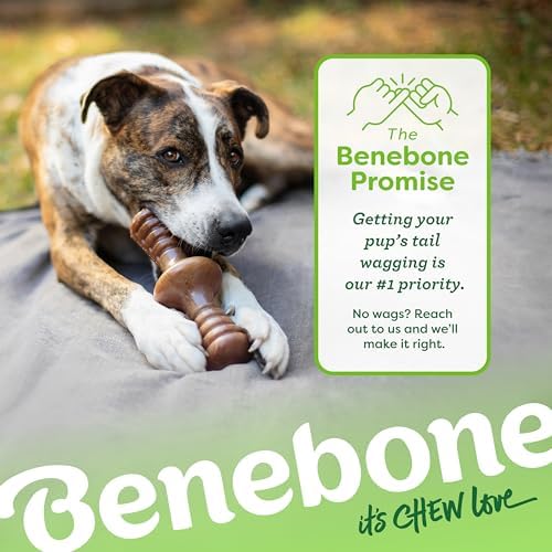 Benebone Zaggler Rolling Dog Chew Toy for Aggressive Chewers, Real Peanut, Made in USA, Medium