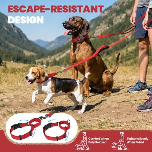 VIVAGLORY Double Handle Dog Leash Twingrip, 5ft x 1in, L, Red