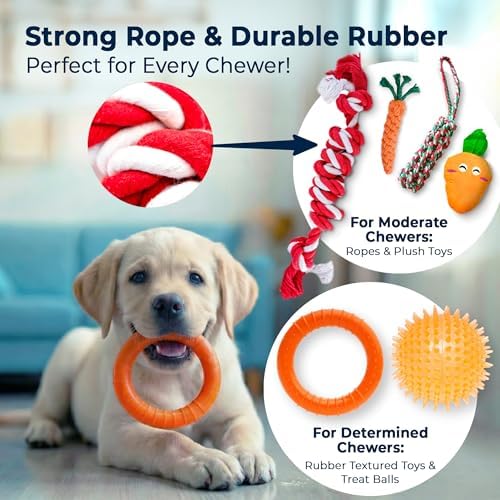 Pacific Pups Products 9-Pack Dog Toys for Small & Medium Dogs – Puppy Toys Set with Rope Toys, Chew Toys, Tug Toys, Plush & Squeaky Toys – Dog Toy Variety Pack