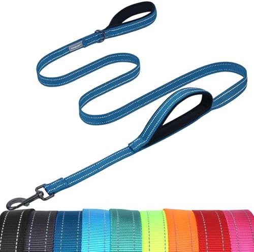 VIVAGLORY Double Handle Dog Leash Twingrip, 6ft x 1in, Navy