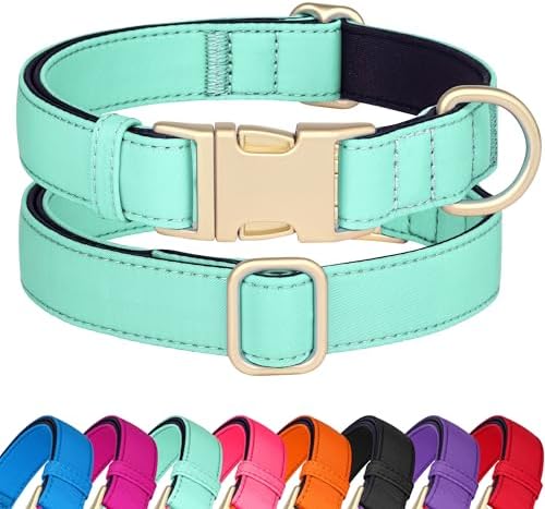 Didog Soft Padded Dog Collar for Small Dogs, Teal, S Neck 10-15"