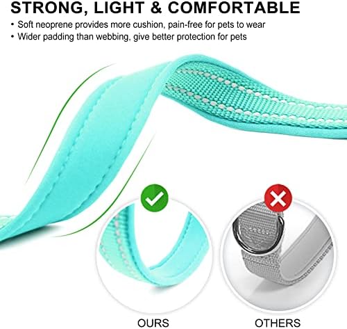 azuza Airtag Dog Collar, Large Dog Collar with Airtag Holder, Teal, L
