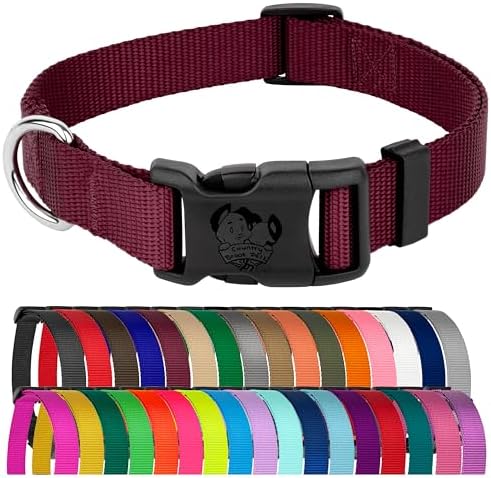 Country Brook Petz - Everyday Nylon Dog Collar for Large, Medium, and Small Dogs and Puppies - for Everyday Use in 30+ Colors (Extra Small, 3/8 Inch Wide, Burgundy)