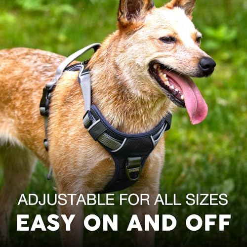 Embark No Pull Dog Harness, Reflective Adjustable Training Vest, No Choke