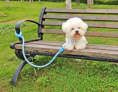 Reflective Dog Leash 2/3/4/6/10ft Braided 1/2" Strong Nylon Rope