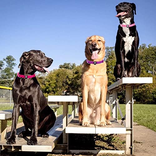 azuza 3 Pack Dog Collars, Soft Nylon Dog Collars for Large Dogs, Pink, L