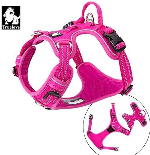 WINHYEPET True Love No Pull Dog Harness Extra Reflective Pet Harness for Small Medium Large Dogs Adjustbale for Running Walking Padded Soft Mesh Vest Easy Control TLH56512(Fushcia,L)