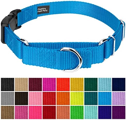 Martingale Dog Collar - Heavy Duty Nylon Adjustable Martingale Dog Collar with Plastic Buckle for Small Medium Large Breeds - 30+ Colors (3/4 Inch, Small, Ice Blue)