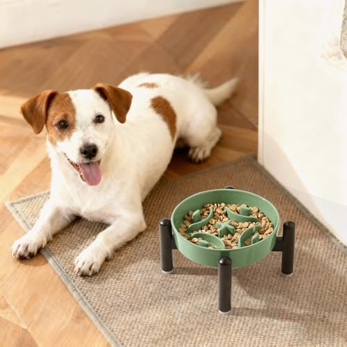 Elevated Slow Feeder Dog Bowl, 0.8 Cups Ceramic Raised Slow Feeder with Stainless Stand, 6.3 Inch Wide Lifted Dog Bowl for Small Breeds to Control Eating Speed, Green