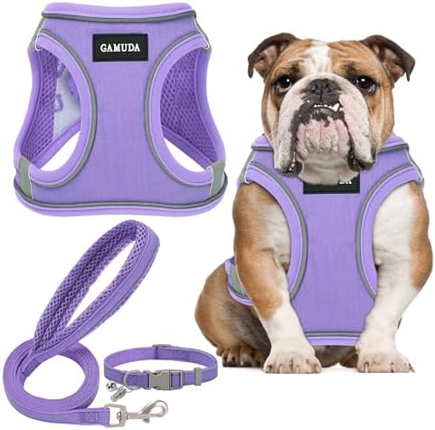 GAMUDA Small Pet Harness Collar and Leash Set, Step in No Chock No Pull Linen Fabric Soft Mesh Dog Vest Harnesses Reflective for Dogs Puppy Cats Kitten Rabbit (Purple, XL)