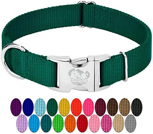 Country Brook Petz - Premium Nylon Dog Collar with Metal Buckle for Small Medium Large Breeds - 30+ Colors (Small, 3/4 Inch, Green)