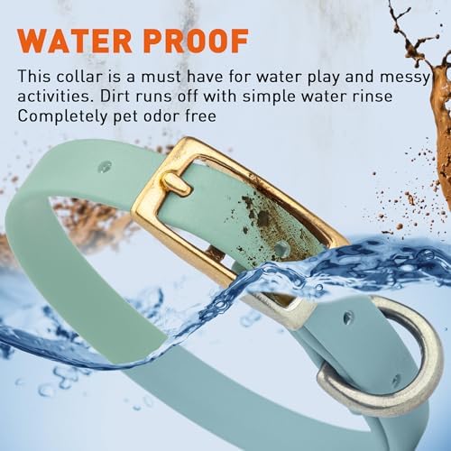 Viper Biothane Heavy Duty Waterproof Dog Collar Strong Coated Nylon Webbing w/Solid Brass Hardware Odor-Proof Easy to Clean High Performance Fits Small Medium or Large Dogs, Sage Green