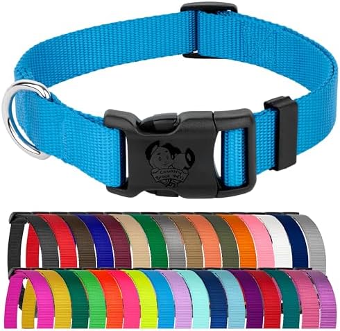 Country Brook Petz - Everyday Nylon Dog Collar for Large, Medium, and Small Dogs and Puppies - for Everyday Use in 30+ Colors (3XS, 3/8 Inch Wide, Ice Blue)