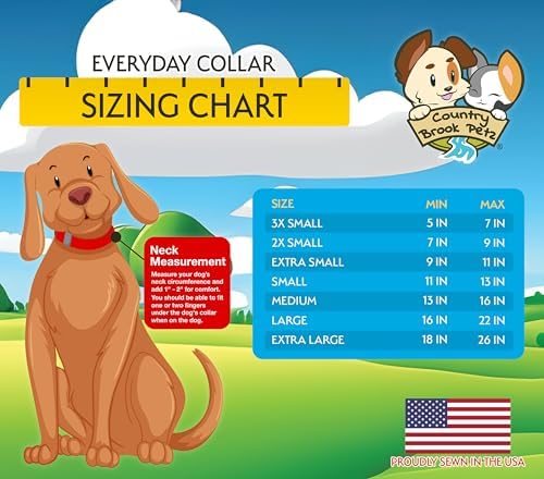 Country Brook Petz - Everyday Nylon Dog Collar for Large, Medium, and Small Dogs and Puppies - for Everyday Use in 30+ Colors (Large, 1 Inch Wide, Purple)