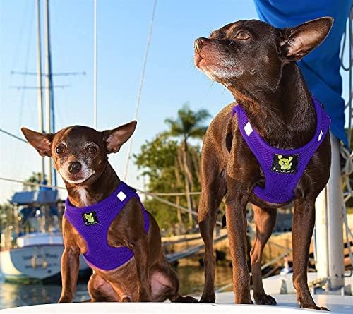EcoBark Step in Dog Harness Vest - Reflective Soft Ultra Padded Mesh Dog Harnesses for XXS, XS, Small, and Medium Dogs Eco-Friendly Comfort Secure Halter No Pull Adjustable Pet Vest (Small, Purple)