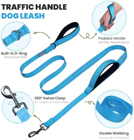 VIVAGLORY Double Handle Dog Leash Twingrip, 5ft x 1in, L, Blue Grey