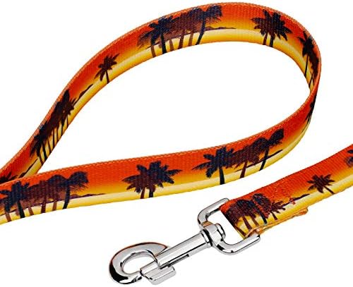 Country Brook Petz - Caribbean Sunset Everyday Dog Leash - Summer Breeze Collection Featuring Sunny Designs (6 Foot, 5/8 Inch Wide)